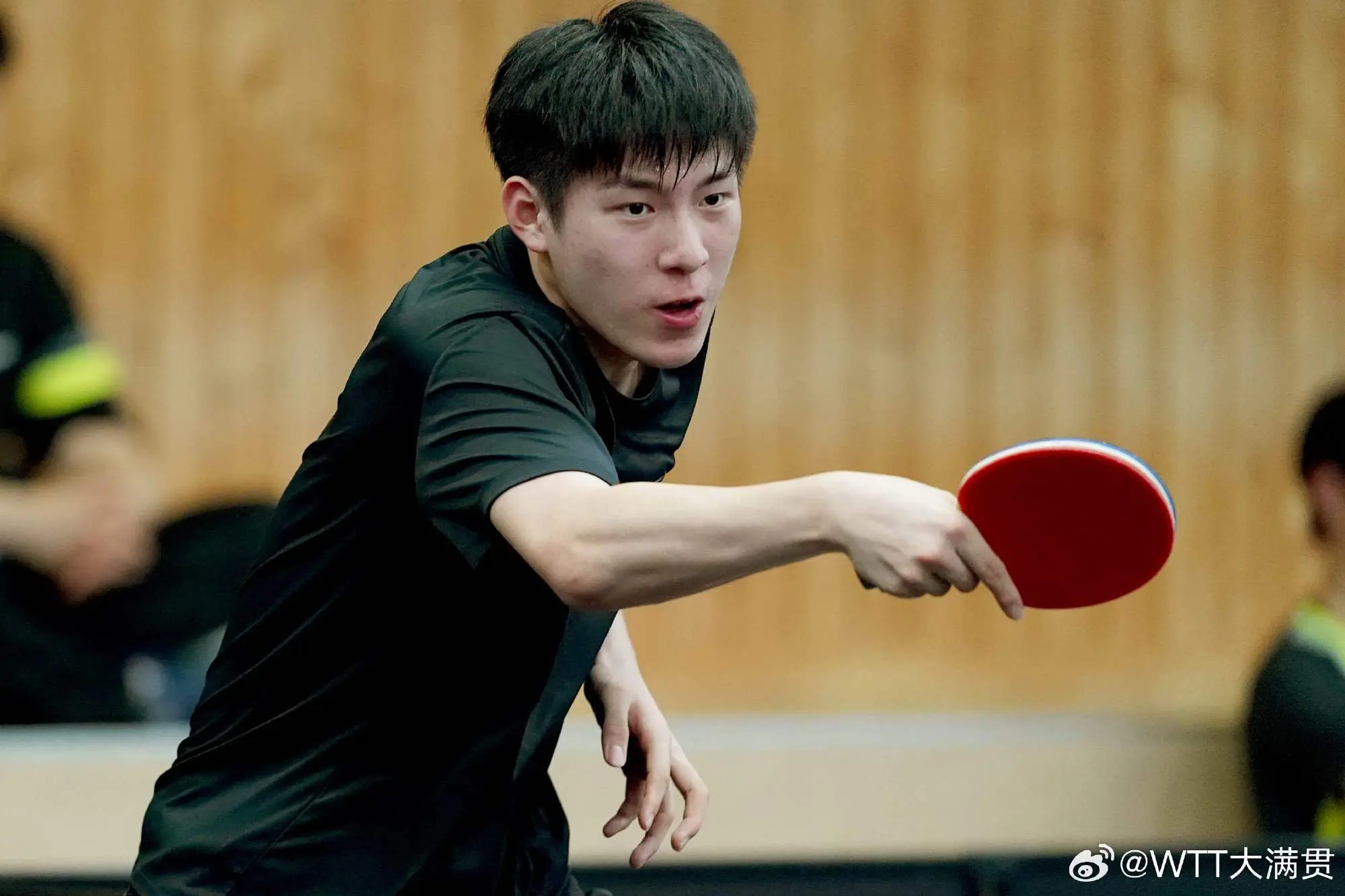 王曼昱, 艾什之间的 王曼昱, 艾什之间的