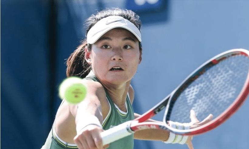 盘尤晓迪乘, WTA, entit 盘尤晓迪乘, WTA, entit