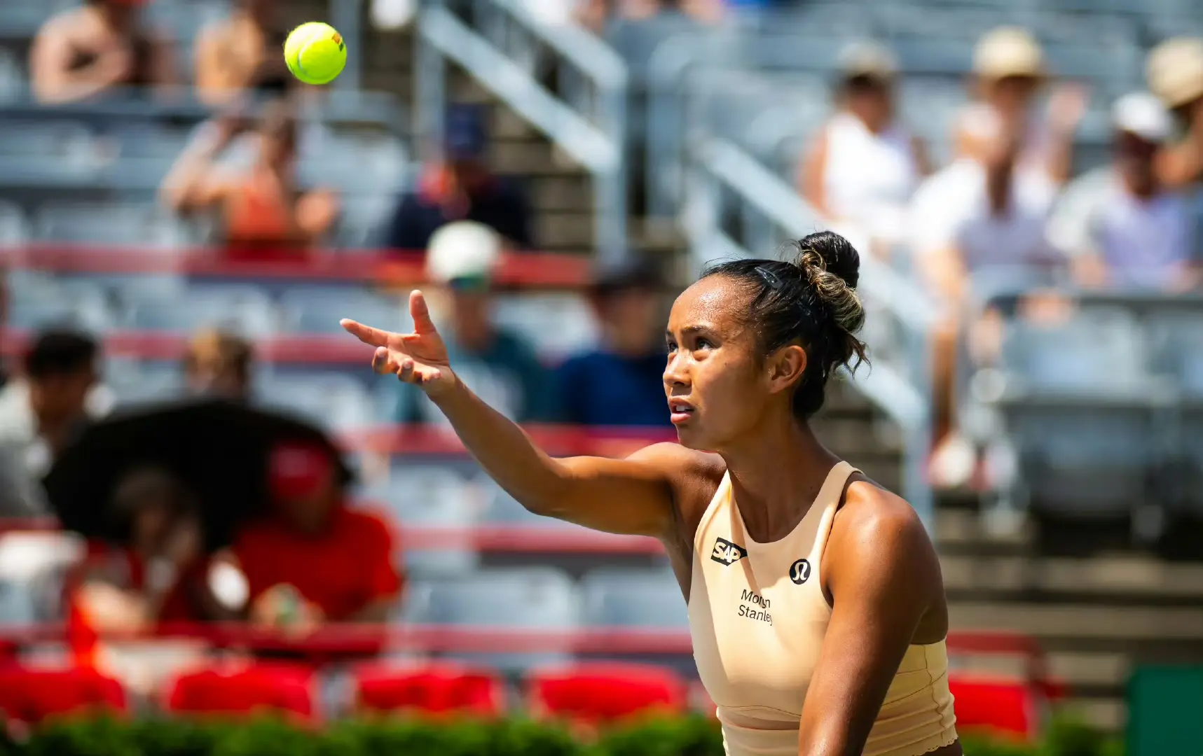 img, 爱脑的标签, 有权追求普