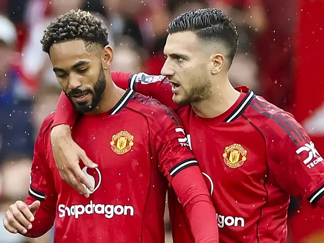 img, 锋自今夏以