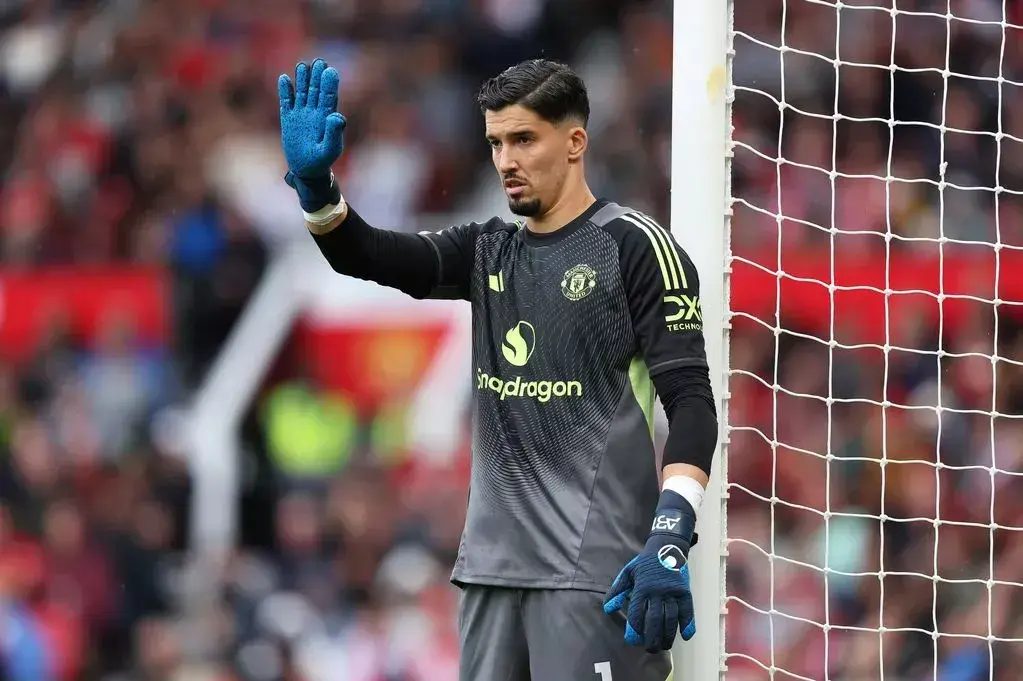 alt, 芒特的伤缺, alt