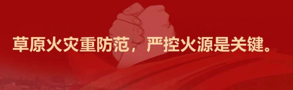 委联合举办, 经过多轮激 委联合举办, 经过多轮激